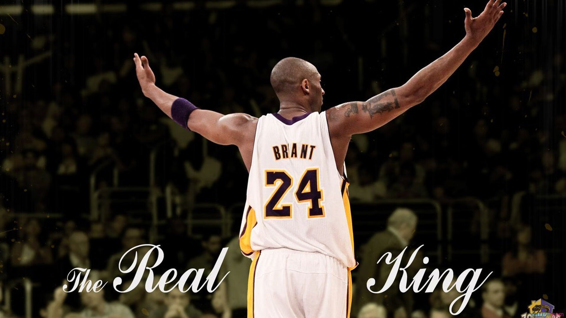 开云网页版登录入口-_街头篮球赛：青年文化与体育融合新风尚_，街头篮球属于街头文化吗