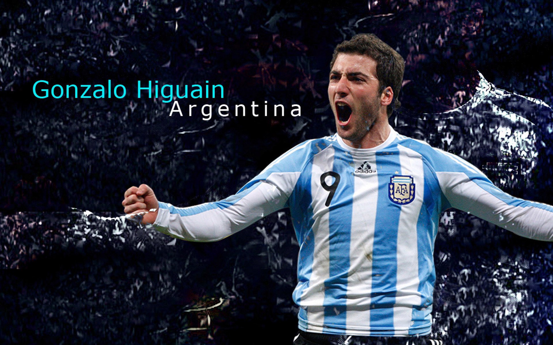 斯图加特主帅下课，球队需寻找新的领航者，斯图加特球迷